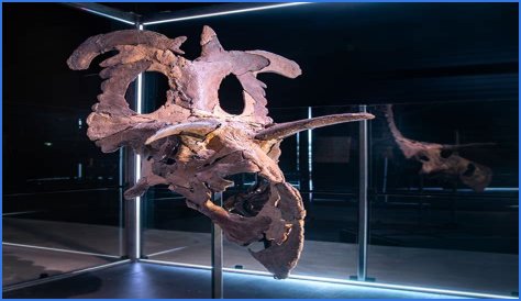 Unveiling Paul Sidoti's Net Worth: Discoveries And Insights